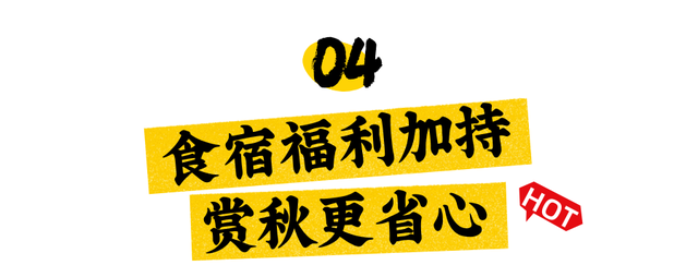 跟着赛事游随县丨大洪山顶级赏秋地更新！银杏最佳观赏期已到！