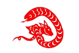 蛇年后面是什么年？2025年蛇年生育率会下降吗？图片