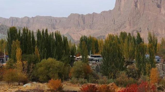 邢强 | 秋游南疆