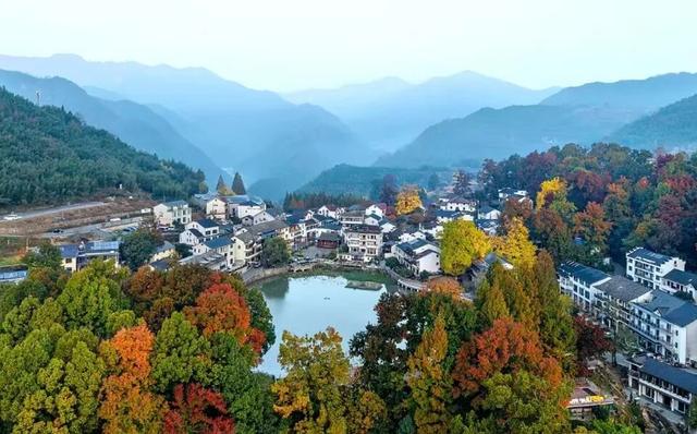 山乡焕新进行时！在“指南有约”里，读懂绿水青山的乡村振兴