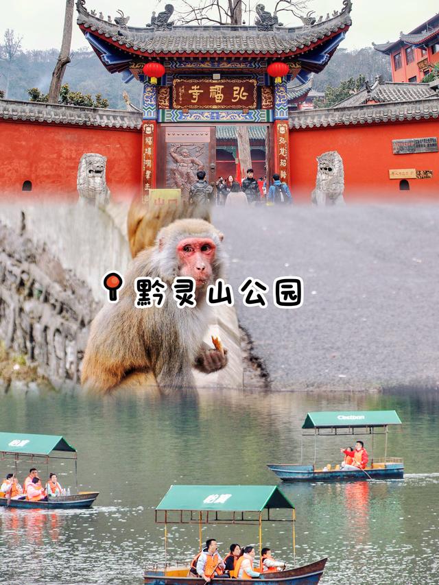 贵州元旦怎么玩❄️看这篇就够啦！