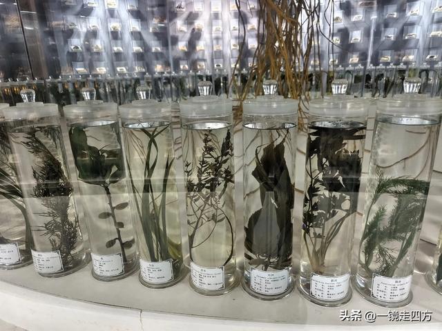 通化市自然博物馆