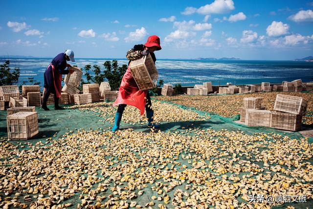 这才是嵊泗秋日最美画卷。嵊泗游子看了就想买票回岛！