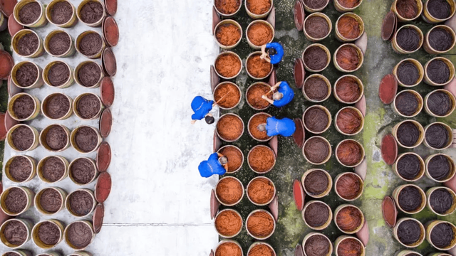 【历史文化】川西第一祠——温江吴家场‖徐平