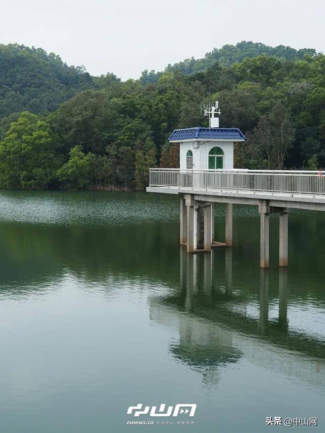 太出片啦！中山焦糖色「落羽杉」上线