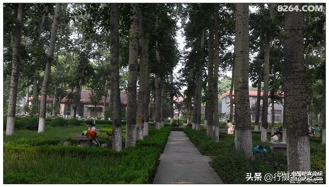 山东行游影记（16）—济南山东大学（三）