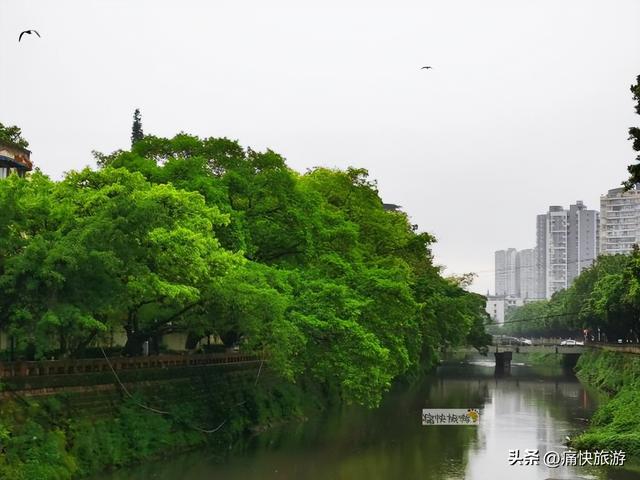 雨中漫步乐山城
