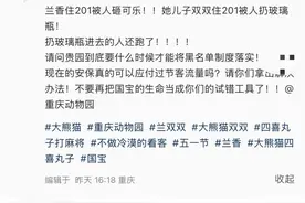 大熊猫场馆内“遇袭”！重庆动物园回应图片