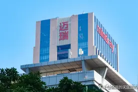 行业龙头！迈瑞医疗员工薪资，揭秘！图片