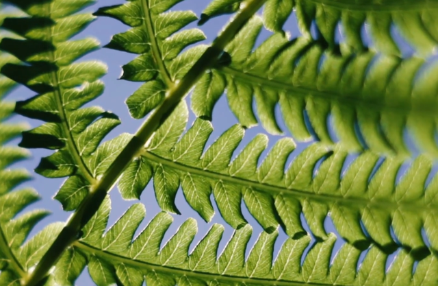 稀土能"种"出来了? 中国新发现"可再生"稀土矿，反击再添新筹码！