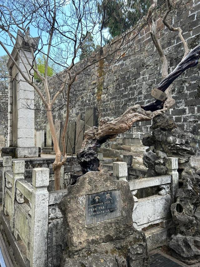 国庆假期去哪儿玩？