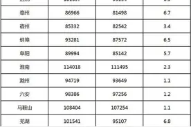 2025年安徽交通事故人身损害赔偿项目及赔偿标准（2025.4.25更）图片