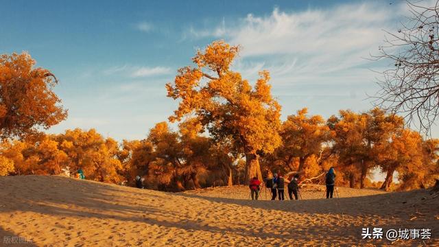 别再问喀什胡杨啥时候最美！喀什胡杨节全攻略→