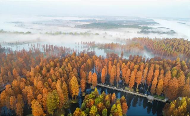 小体首批福利！公益骑行＋金牌嘉宾，沪派江南这波期待值拉满