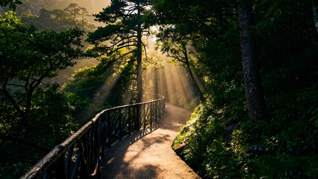 你绝对想不到！三清山一天游的惊人秘密！