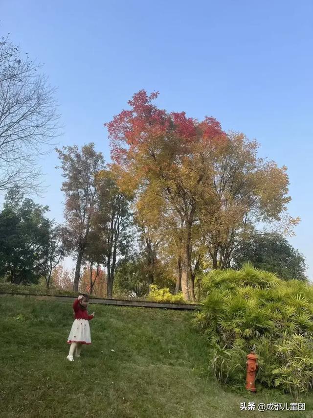 成都公园地图丨晒太阳不打挤的20个公园,东南西北全覆盖