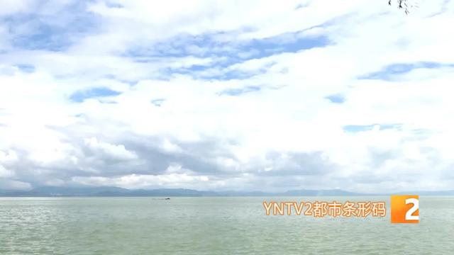 巨型稻草人、睡美人稻海等太出片了！昆明这个宝藏景点越来越美！