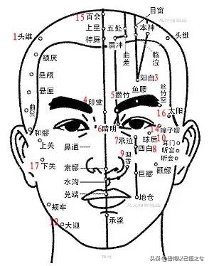 人体-结构-功能-系统