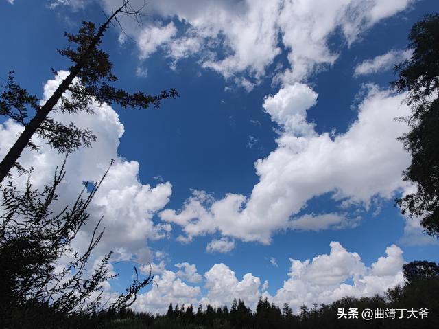 曲靖免费游玩的水乡，去了你才知道有多美