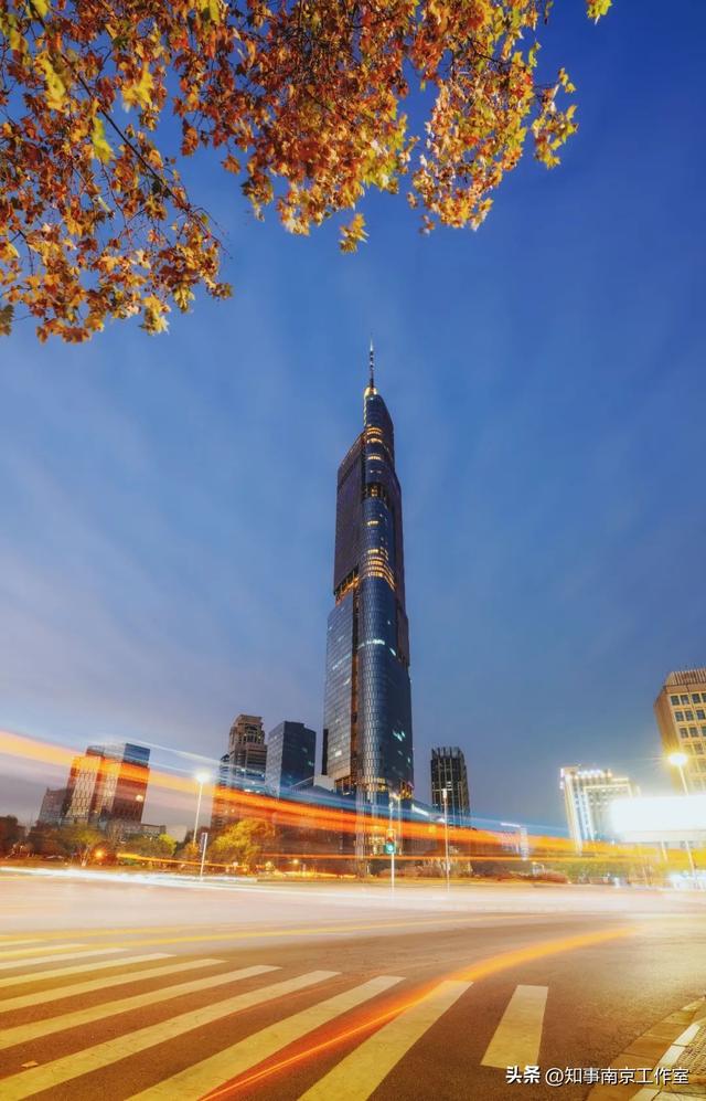 51张照片告诉你，南京的秋天有多美！