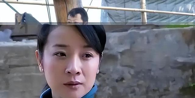 29万人逃离湖南，22万人离开吉林！人口大迁徙中，谁是最后赢家？