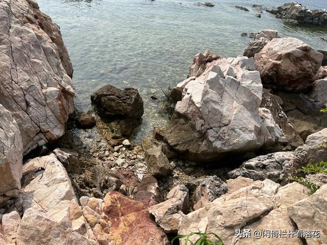 养马岛环岛游