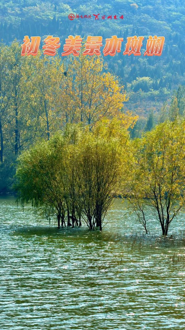 宿州私藏了个“小九寨沟”！就在萧县官桥镇，美到犯规！