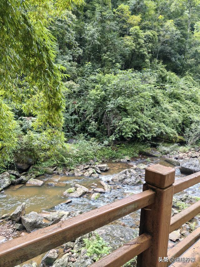 在江津四面山景区看了瀑布爬了梯，又坐了超级滑道听了潺潺流水声