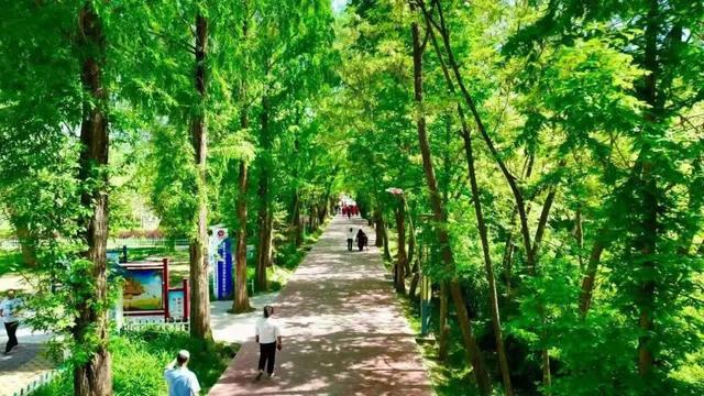 在临夏,把夏天过成诗——公园、夜景与音乐会的清凉邀约
