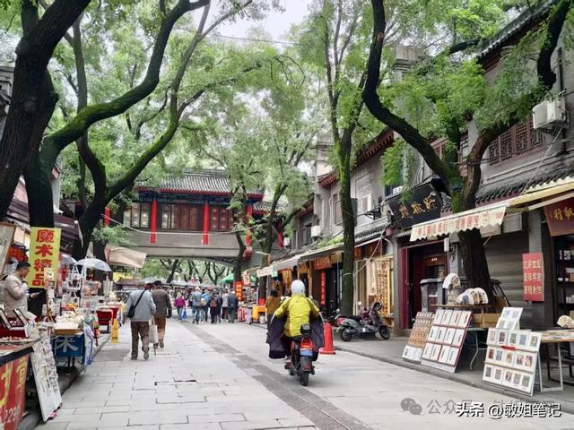 【西安游学之五】城市骑行：盛唐光影与市井烟火的交响