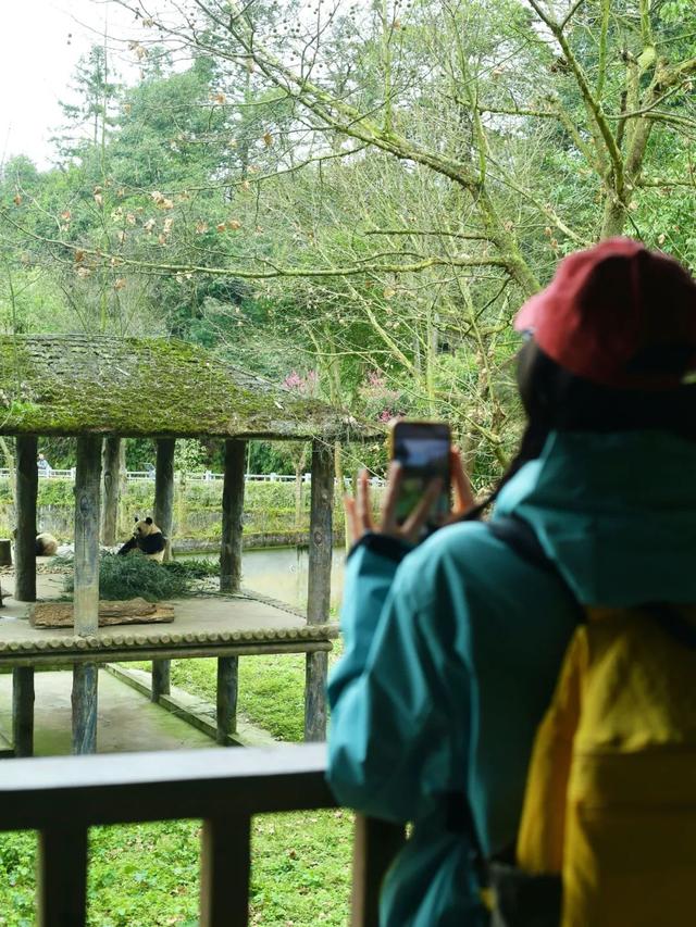 逃离高温！成都2H躲进峡谷避暑地，徒步森林瀑布、探秘野生动物！超萌奖牌周末就冲！