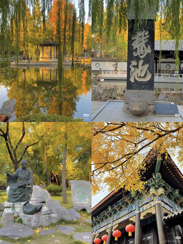 48小时极限观「临」，如何把周末玩出超高性价比？