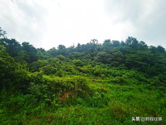 一个洞内烟云氤氲的躲匪洞，一个白练如幕的暗河瀑布