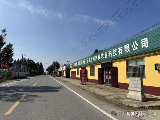 冠县乡韵·兰沃乡大柳邵村