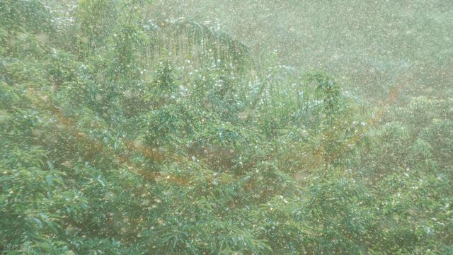 散文·中秋连云港 大雨润山河