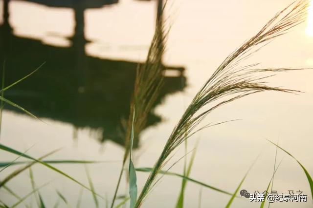 盛夏的商丘古城,希望清明上河园入住后早日实现一日梦回几百年