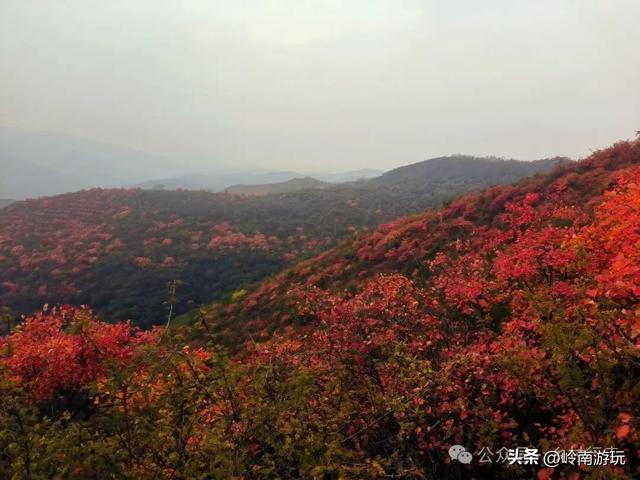 富平薛镇赵老峪北村,赏红叶观石桥瀑布,这条环线真是美爆了!