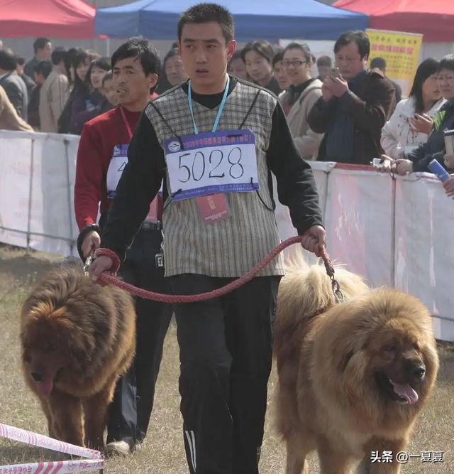 曾风靡全国的“骗局	”，却被捧上神坛炒到千万！如今白菜价没人要