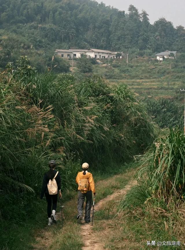 全部免费！解锁长沙10条山林徒步路线