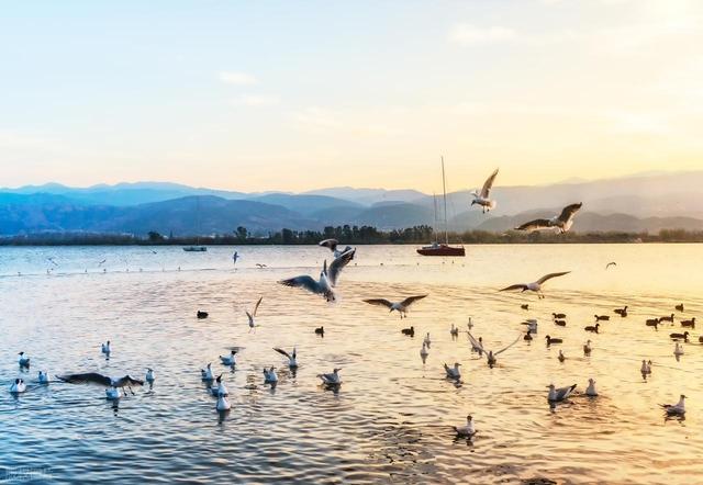 11月-1月，冬季旅游适合去的5个目的地，均温20℃，景美气候佳