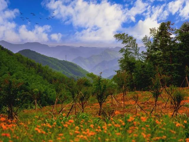 秋冬遛娃“药”新鲜！能吃能玩还能“养”，这条游玩路线一站式拿捏