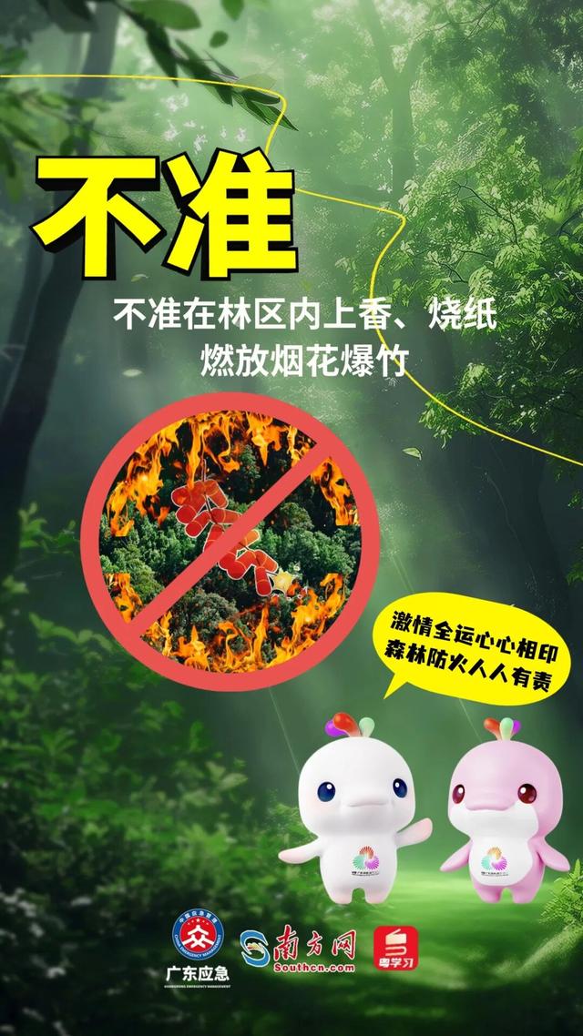 森林特别防护期，严禁这些行为→