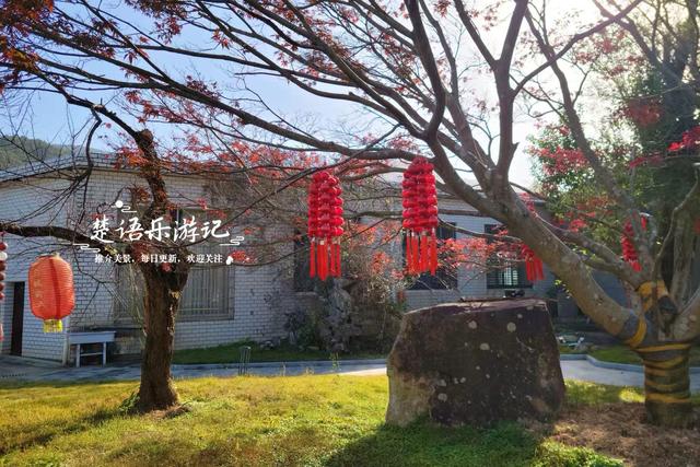 浙江宁波的千年古村，银杏红枫相映堪比油画，梯田茶园比画还要美