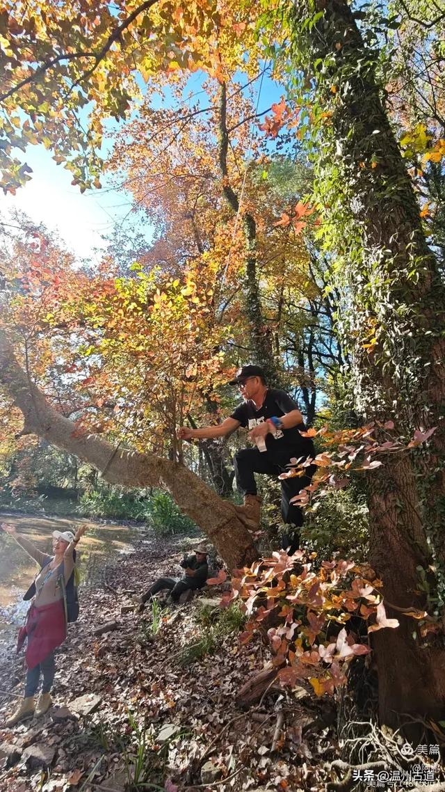 秋染浙西，邂逅烂柯仙境的绝美风光！