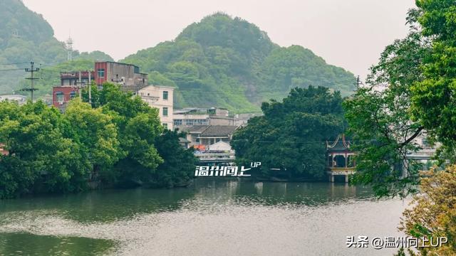 温州这座出土了众多国宝的“宝藏古镇”，能否成为下一个梧田老街