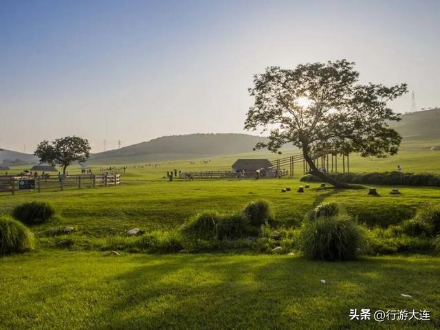 周末不无聊~带娃去这些地方“放电”，还能涨知识！
