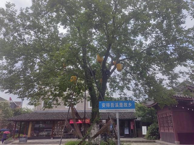 夏日漫步在杭州余杭区安溪古镇小记
