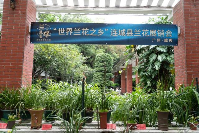 以兰为媒，龙岩连城深化广龙对口合作！