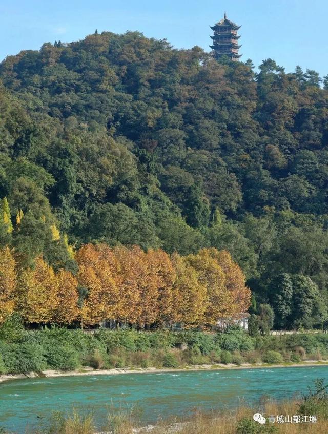 美疯！我就说初冬的都江堰有真东西！