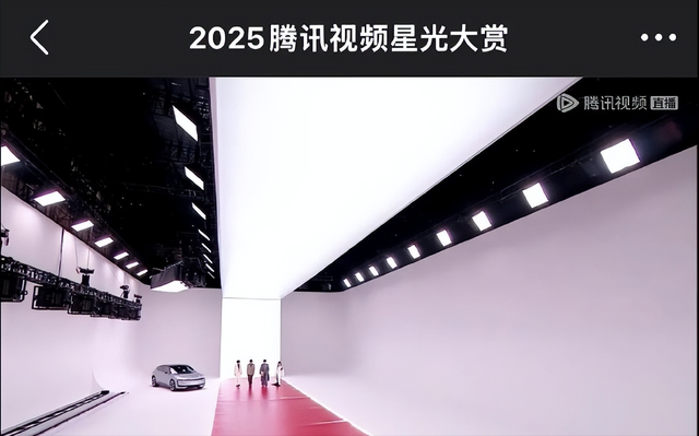 海南红毯好俗，毛晓彤挤出副乳	，张萌深V不怕走光，宋茜胸骨凸出